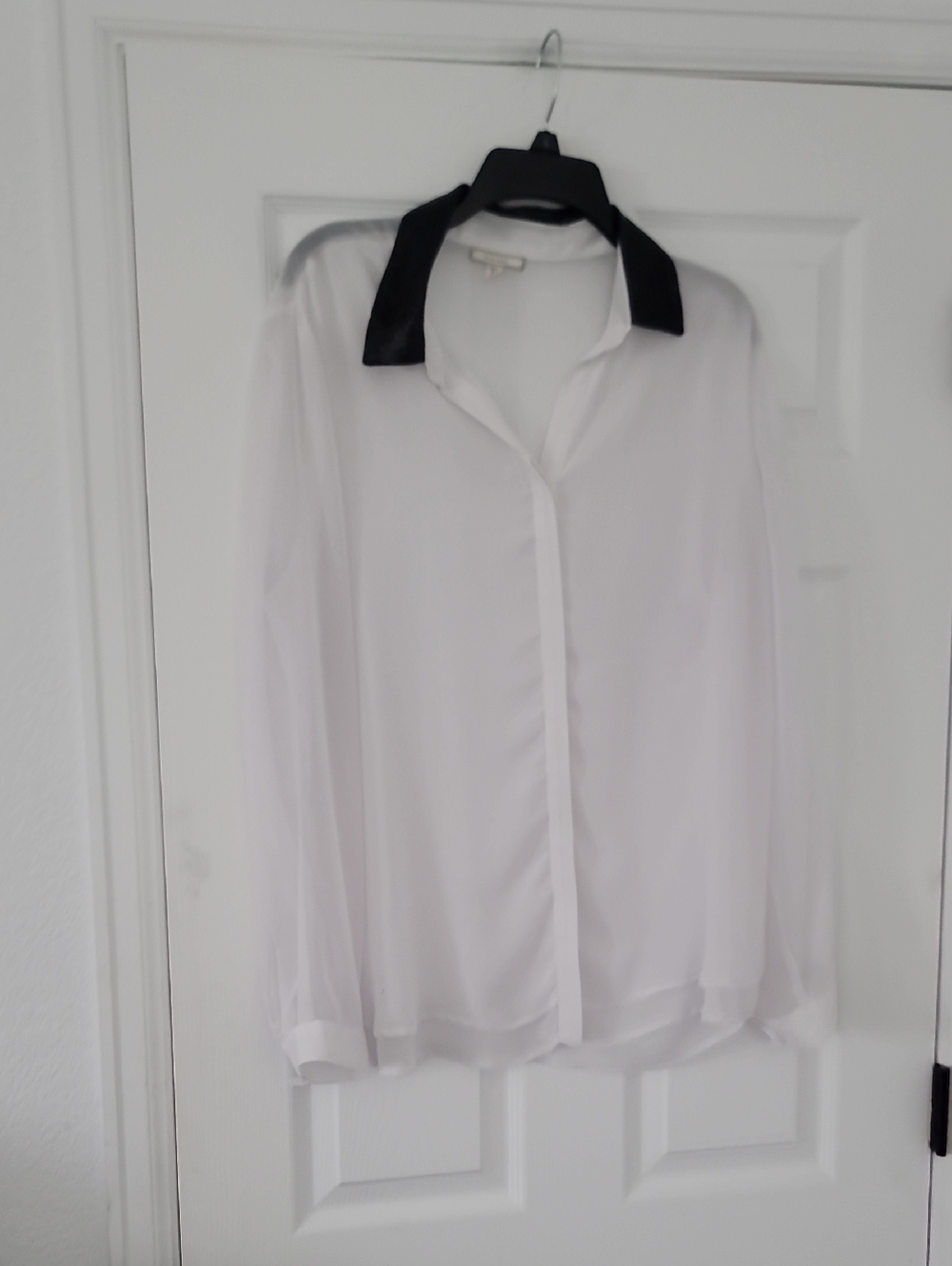 Pleione White Sheer Button-Down Blouse with Black Collar